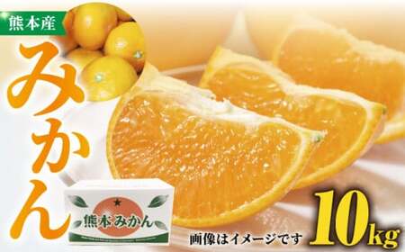 ݂ 10kgy܉ʎz[ZCJ005]