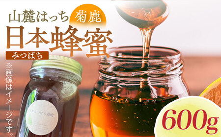 日本みつばち菊鹿約600g【山麓はっち】 [ZBM011]