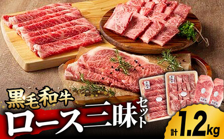 九州産 藤彩牛 ロース 三昧セット [ZDT009] 冷凍 国産 牛肉 やきにく 焼肉 ステーキ サーロイン