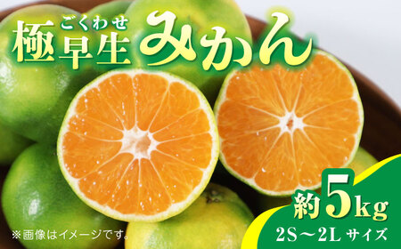 【先行予約】極早生みかん 約5kg　2S〜2Lサイズ　【くまふる】[ZBG057]