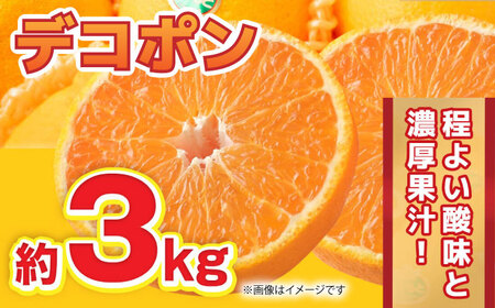 【先行予約】2月～4月発送 デコポン 約3kg 果物デコポン柑橘ZBG058