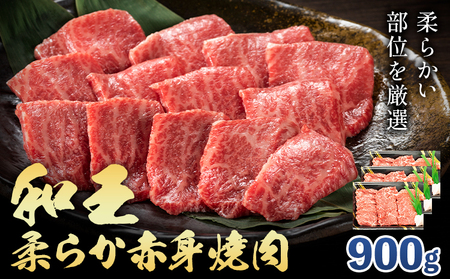 熊本県産A5等級和王 柔らか赤身焼肉 900g 帝神志方ミート株式会社[90日以内に出荷予定(土日祝除く)]熊本県 菊池市 牛肉 肉 お肉 和牛 くまもと黒毛和牛 熊本県産 A5 和王 赤身 赤身肉 柔らか 厳選 焼肉