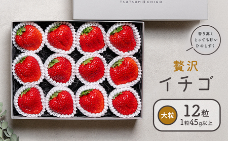 ґC`S Ђ̂ 45g×12  C`S 䕁s2026N2\t@AX ʕ  t[c  Mtg v[g 蕨 Y BY F{ ers 