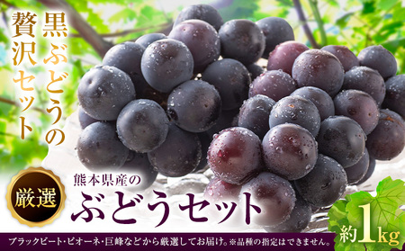 【先行予約】厳選 熊本県産のぶどうセット 約1kg 品種おまかせ ブラックビート ピオーネ 巨峰 【メロンドーム】 有限会社七城町特産品センター《8月上旬-8月末頃出荷》熊本県 菊池市 果物 フルーツ ぶどう ブドウ 葡萄 セット 食べ比べ 熊本県産 送料無料