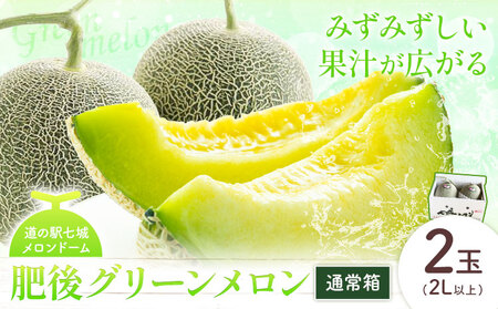 【先行予約】肥後グリーンメロン 2玉 2L以上 通常箱【メロンドーム】 有限会社七城町特産品センター《2026年5月中旬-6月中旬頃出荷》熊本県 菊池市 メロン グリーンメロン 果物 フルーツ 熊本県産 送料無料