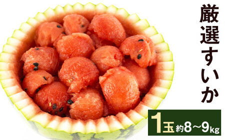 y2026N5{蔭zI  1 8kg`9kg h[