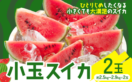 小玉スイカ 2玉[養生市場] ひとりじめ 果物 フルーツ スイカ 西瓜 九州産 熊本県産 送料無料[2026年4月中旬-5月中旬頃出荷予定][先行予約]