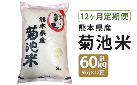 [定期便12回]菊池米 合計60kg(毎月5kg×1袋) 令和5年産