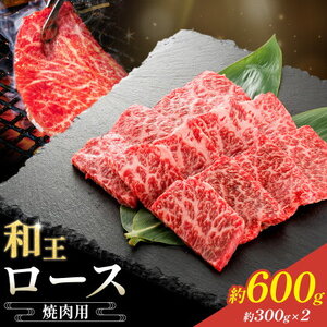 和王 ロース 焼肉用 約600g 約300g×2パック 菊池地域農業協同組合(JA菊池まんまキッチン)[90日以内に出荷予定(土日祝除く)]熊本県 菊池市 くまもと黒毛和牛 和牛 牛肉 お肉 焼き肉 熊本県産 九州産 国産 冷凍 送料無料