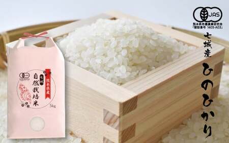 yāzyߘa7NYzL@JAS Y Ђ̂Ђ 5kgs30ȓɏoח\(yj)t