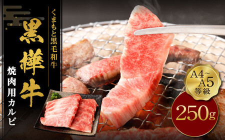 くまもと黒毛和牛 杉本本店 黒樺牛 A4~A5等級 焼肉用カルビ 合計250g