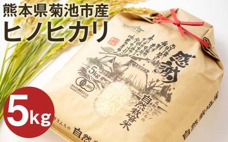 [通常パック]熊本県菊池産 ヒノヒカリ 白米 5kg 七城物語 高野さんちの自然栽培米 精米