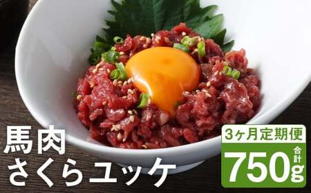 [3ヶ月定期便] 馬肉 さくらユッケ 250g(50g×5パック)×3回 お肉 肉 ユッケ 赤身 馬刺し 馬刺 馬ユッケ 定期 小分け カット 冷凍