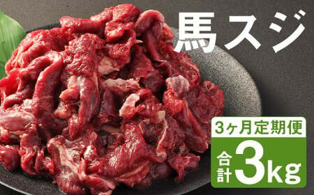 [3ヶ月定期便] 馬スジ 1kg (500g×2パック)×3回 馬肉 肉 馬すじ スジ 定期 冷凍