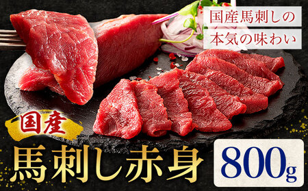 Y nh Ԑg 800g TʎY(ЃtW`N) s30ȓɏoח\(yj)t  n hg Ⓚ F{ ers 