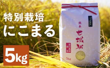 [紡ぐ。人をふる里を明日へ]極 にこまる 5kg お米 ご飯 ごはん 白米 米 精米 こめ コメ にこまる 熊本県産 国産 [2025年11月上旬より発送開始予定] st-p