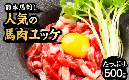 熊本 馬肉ユッケ 10人前 500g(50g×10パック)専用タレ付き 馬刺し 馬肉 肉 お肉