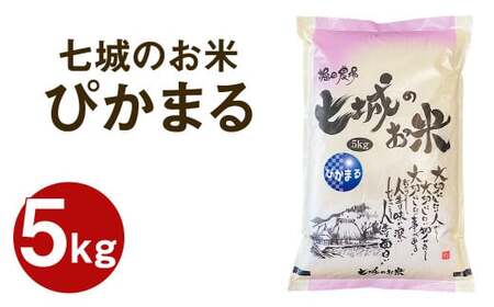 [令和6年産] 七城のお米 ぴかまる 5kg 米 白米 精米 こめ コメ お米 ごはん ご飯 熊本県産