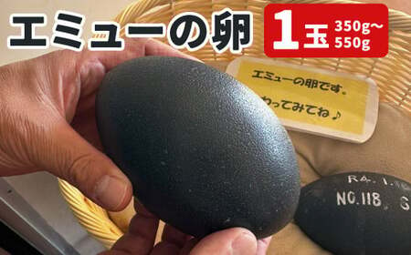 エミューの卵 350g〜550g(1玉) たまご 卵 玉子 玉子 エミュー