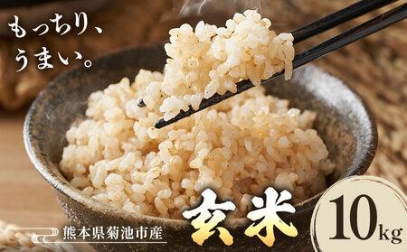 熊本県菊池産 玄米 10kg お米 ヴァリアス株式会社[30日以内に出荷予定(土日祝除く)] 菊池市産 熊本県産 九州産 送料無料