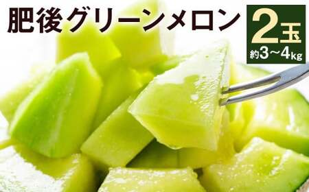 肥後グリーンメロン 2玉 (約3〜4kg)[2025年5月下旬〜7月下旬発送予定] 果物 フルーツ メロン めろん 青肉 旬 旬の果物 旬のフルーツ