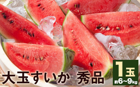 大玉すいか 秀品 1玉 約6kg〜9kg [5月下旬-7月下旬頃発送予定]