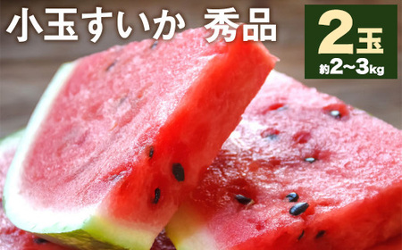 小玉すいか 秀品 2玉 約2〜3kg [5月下旬-7月下旬頃発送予定]