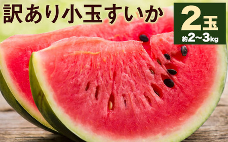 訳あり 小玉すいか 2玉 約2〜3kg [5月下旬-7月下旬頃発送予定]