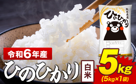 令和6年産 白米 米 ひのひかり 5kg[7-14日以内に出荷予定(土日祝除く)]熊本県 菊池市 国産 熊本県産 白米 精米 送料無料 ヒノヒカリ こめ お米