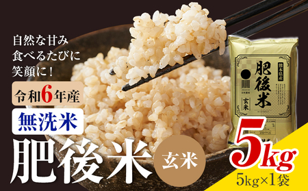 熊本県産 肥後米 無洗米 玄米 5kg 1袋5kg 米 お米 令和6年産 九州産 熊本県産 ブレンド米 送料無料[30日以内に出荷予定(土日祝除く)]玄米 無洗米 米