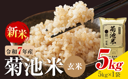 令和7年産 熊本県産 菊池米 玄米 5kg 1袋5kg 株式会社くまもとごはん [30日以内に出荷予定(土日祝除く)]米 お米 令和7年産 九州産 熊本県産 送料無料