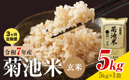 [3ヶ月定期便]熊本県産 菊池米 玄米 5kg 1袋5kg 米 お米 令和7年産 九州産 熊本県産 送料無料[お申込み翌月に出荷予定]玄米 米