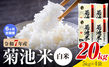 【6ヶ月定期便】熊本県産 菊池米 白米 20kg 1袋5kg 米 お米 令和7年産 九州産 熊本県産 送料無料《お申込み翌月に出荷予定》  白米 米