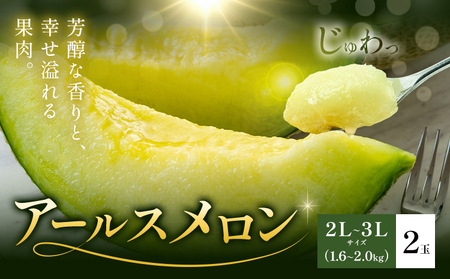 アールスメロン 2玉 2L〜3Lサイズ メロン[4月上旬〜11月中旬に順次発送予定]熊本県 菊池市 果物 フルーツ 青果物 菊池市産 熊本県産 九州産 国産 送料無料