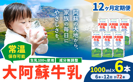 y12ցz 퉷ۑ\  100gp 刢h pbN 1000ml×6{ v72{ Ђׂs\̗o׊JntF{ ers   