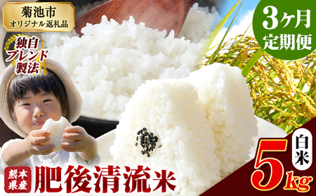 [3ヶ月定期便]熊本県産 肥後清流米 白米 5kg ブレンド米 熊本県産 ふるさと納税 精米 米 こめ ふるさとのうぜい コメ お米 おこめ[1月から出荷開始]