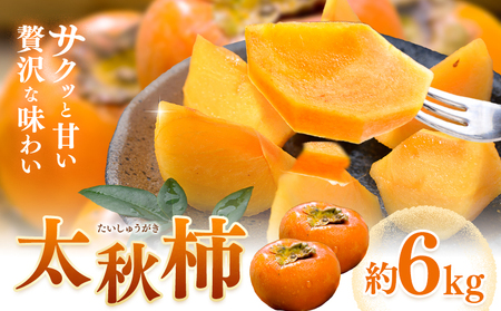 ys\z` H` イ 6kg {t[cЁs2026N9{-10{oׁtF{ ers H̖o ʕ  t[c fU[g