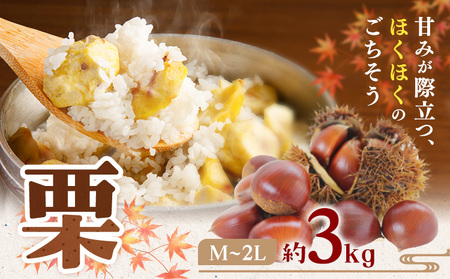 ys\zI M ` 2L TCY 3kg {t[cЁs2026N9{-10{oׁtF{ ers I  F{Y H̖o ʕ  t[c fU[g 