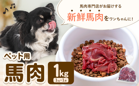 ペット用馬肉 1kg 五右衛門フーズ[30日以内に出荷予定(土日祝除く)] ペット用 犬用 肉 馬肉 熊本県 菊池市