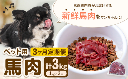 [3ヶ月定期便]ペット用馬肉 1kg × 3回 計3kg 五右衛門フーズ[申込月の翌月から出荷開始] ペット用 犬用 肉 馬肉 熊本県 菊池市