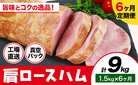 y6ցzJ^[Xn 6(1.5kg×6) 1{1.5kg [X  ؓ ^pbN n H꒼ ①   s\݌̗o׊Jnt