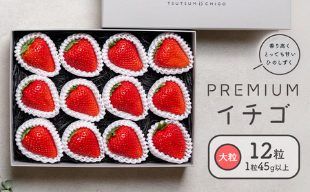 PREMIUMC`S 12 145gȏ Ђ̂  C`S 䕁s2026N1\t@AX ʕ  t[c  Mtg v[g 蕨 Y BY F{ ers 