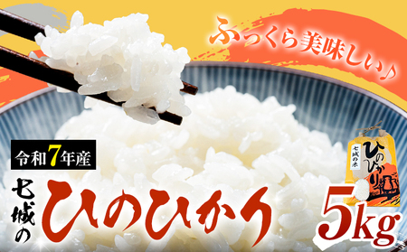 米 令和7年産 七城の ひのひかり 5kg 有限会社草佳苑[90日以内に出荷予定(土日祝除く)]熊本県 菊池市 こめ 米 ひのひかり ブランド米 お米