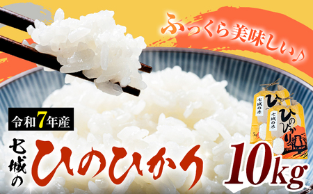  ߘa7NY  Ђ̂Ђ 10kg LБs90ȓɏoח\(yj)tF{ ers   Ђ̂Ђ uh 