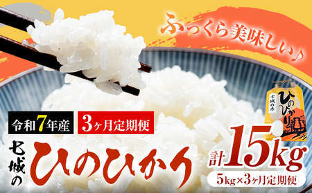米 令和7年産 七城の ひのひかり 5kg 3ヶ月定期便 計15kg 有限会社草佳苑[90日以内に出荷予定(土日祝除く)]熊本県 菊池市 こめ 米 ひのひかり ブランド米 お米