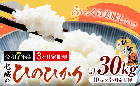  ߘa7NY  Ђ̂Ђ 10kg 3 v30kg LБs90ȓɏoח\(yj)tF{ ers   Ђ̂Ђ uh 