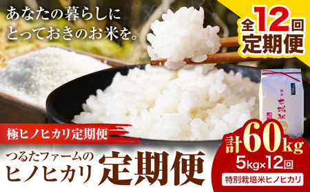 [12回定期便]つるたファームのヒノヒカリ定期便 極ヒノヒカリ定期便 特別栽培米 ヒノヒカリ 5kg 株式会社七城の恵み[お申込み翌月から出荷]熊本県 菊池市 米 ひのひかり 定期便 つるたファーム