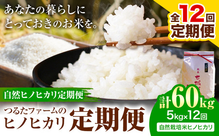 [12回定期便]つるたファームのヒノヒカリ定期便 自然ヒノヒカリ定期便 自然栽培米 ヒノヒカリ 5kg 株式会社七城の恵み[お申込み翌月から出荷]熊本県 菊池市 米 ひのひかり 定期便 つるたファーム