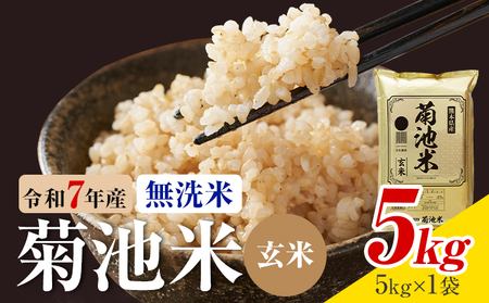 令和7年産 熊本県産 菊池米 無洗米 玄米 5kg 1袋5kg 株式会社くまもとごはん [30日以内に出荷予定(土日祝除く)]米 お米 令和7年産 九州産 熊本県産 送料無料