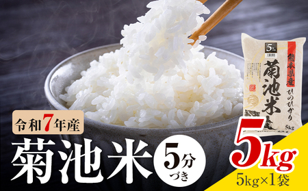 令和7年産 熊本県産 菊池米 5分づき 5kg 1袋5kg 株式会社くまもとごはん [30日以内に出荷予定(土日祝除く)]米 お米 令和7年産 九州産 熊本県産 送料無料